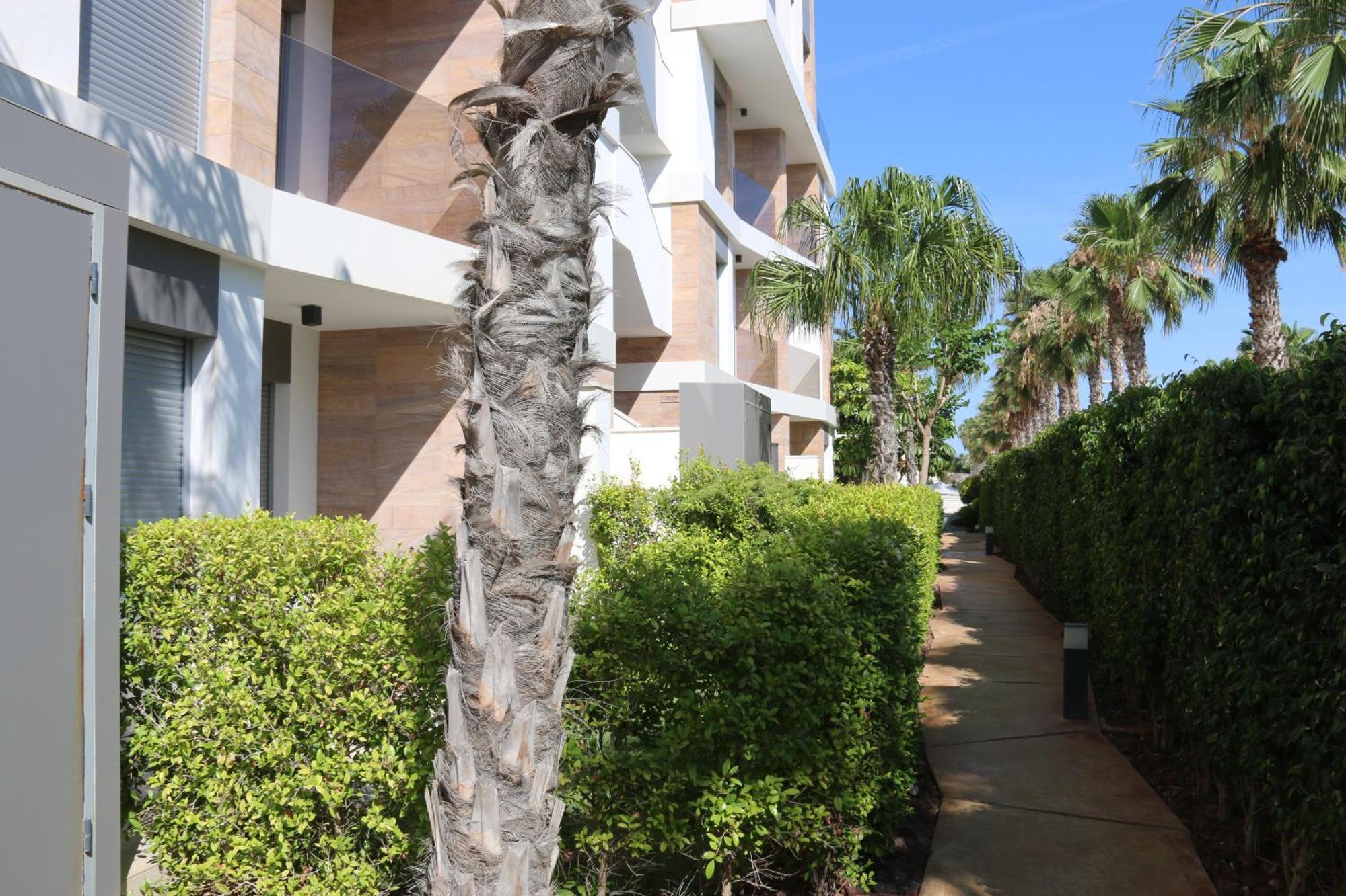 Luxusni Apartman Ve Spanelsku, Cabo Roig Orihuela Dış mekan fotoğraf